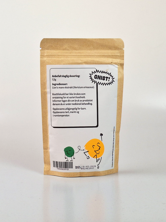 Lions Mane dobbeltekstrakt pulver 100g